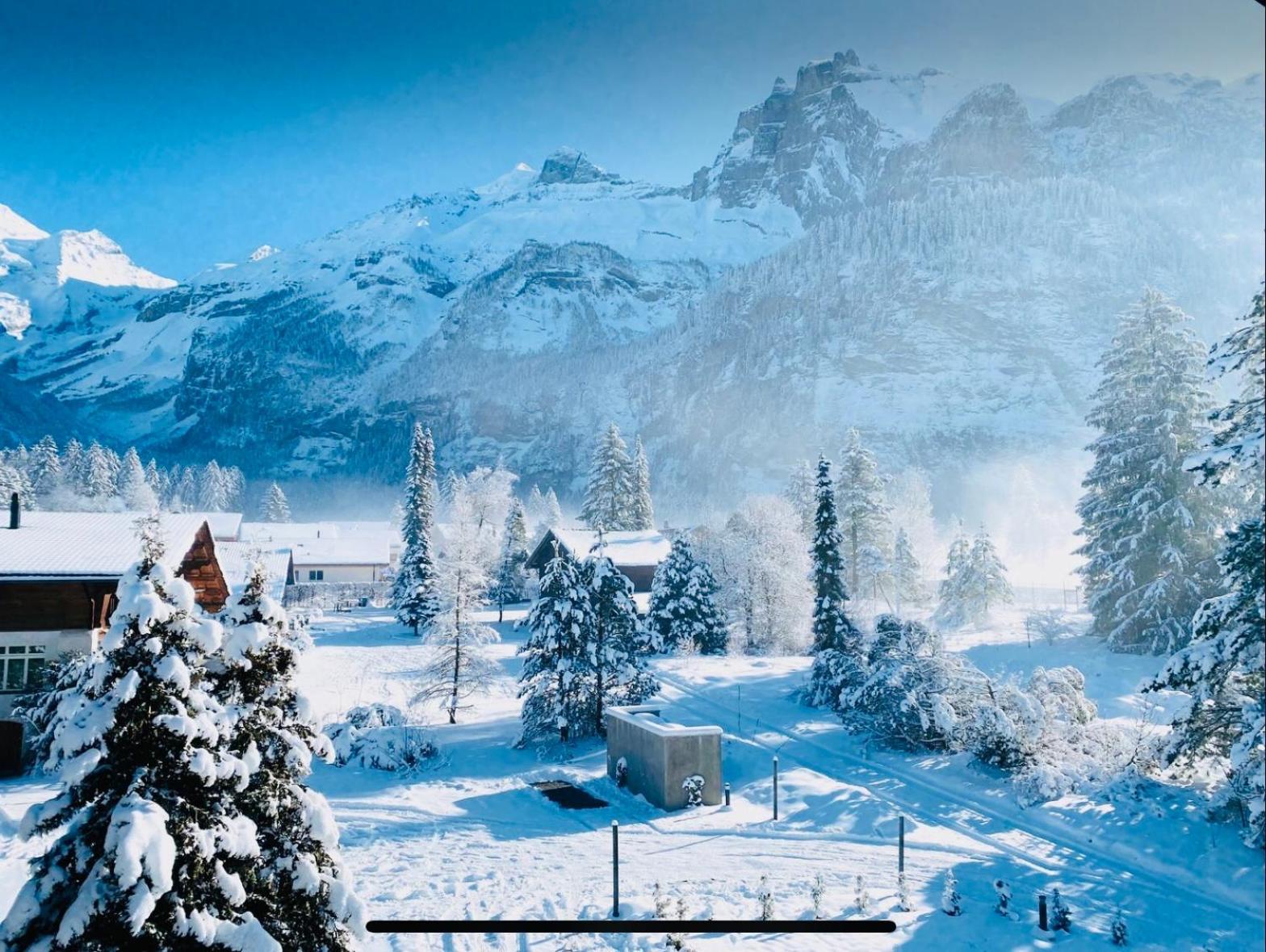 Cute & Cozy Oasis, Private Afternoon Sun Terrace Apartamento Kandersteg Exterior foto