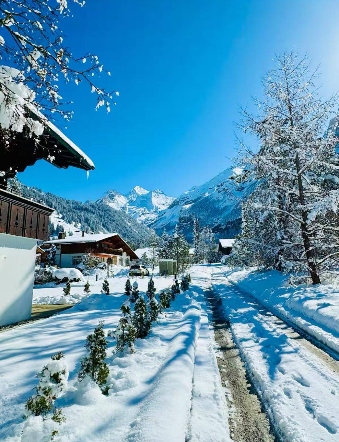 Cute & Cozy Oasis, Private Afternoon Sun Terrace Apartamento Kandersteg Exterior foto
